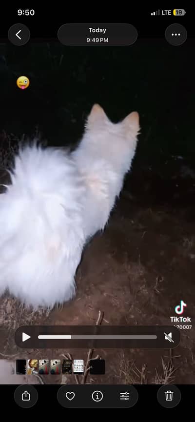 intrested sirf msg karain plz