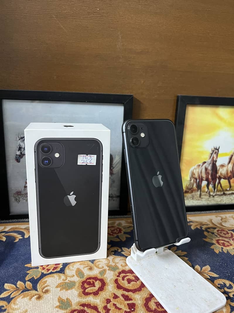 iPhone 11 0