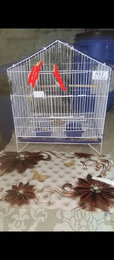 Birds Cage in Reasonable price available