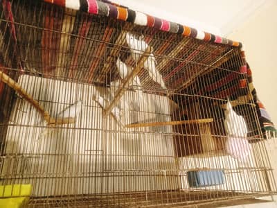 Beautiful white cocktail