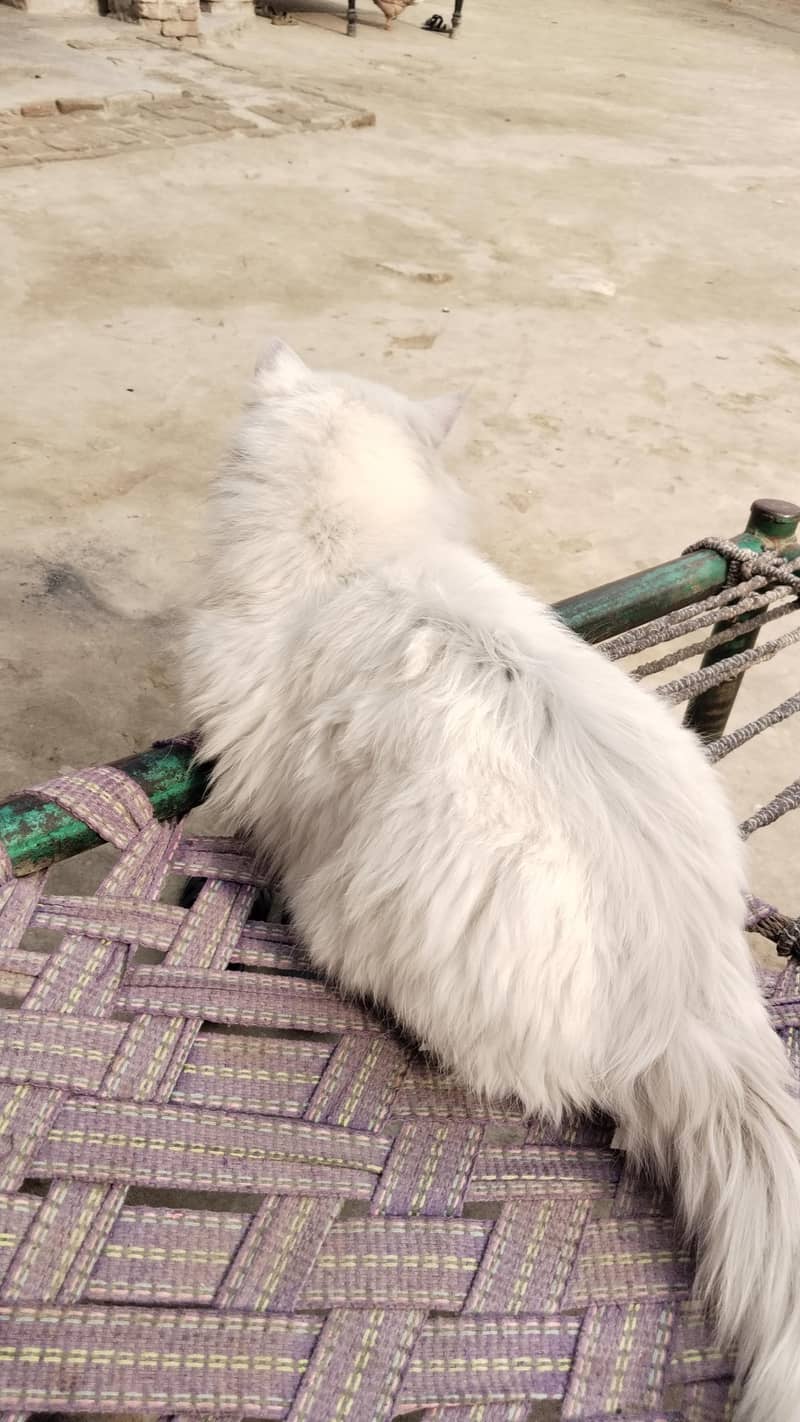 ,. . . . . . . . . 1