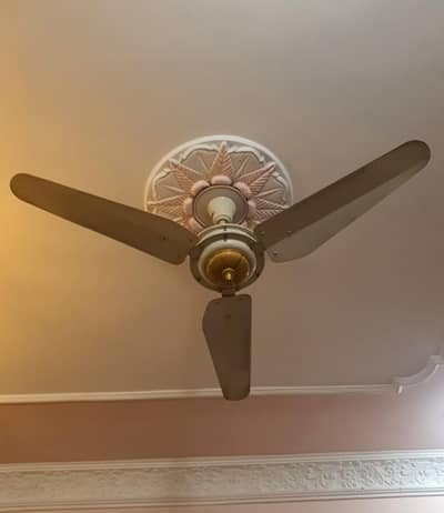 celling fan