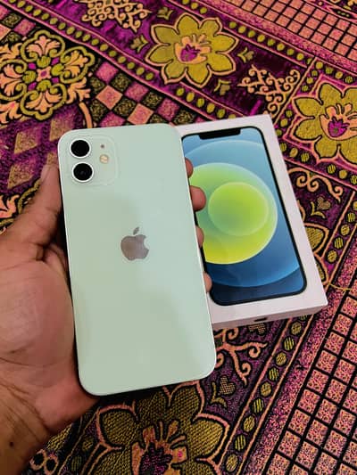 iphone 12 double sim pta aporoved