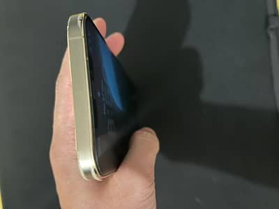 Iphone 12 pro max pta appoved