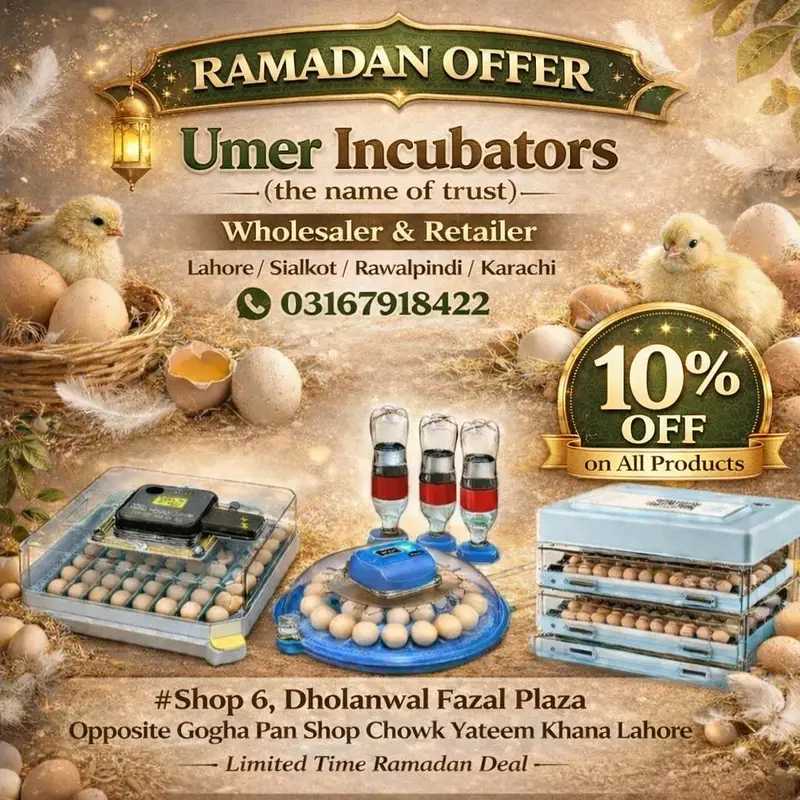 RAMZAN OFFER FULLY AUTOMATIC 35/12 EGGS INCUBATOR