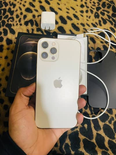 iPhone 12 Pro Max 256GB PTA Approved