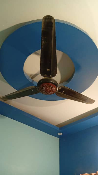 Royal original fan  copper fan 03138928220