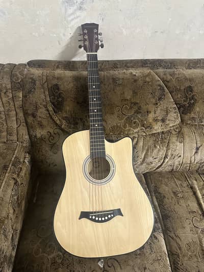 Acoustic Professional Guitar