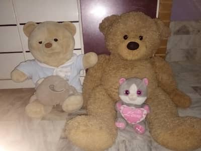 Teddy Bears (3 Piece)
