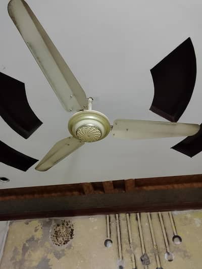 royal fan wand hone wala hai. . .