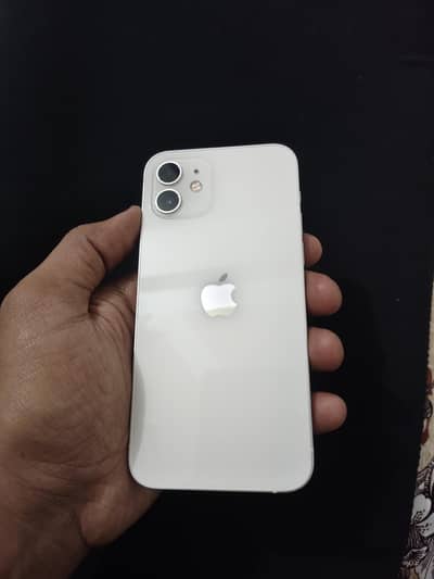 iphone 12 PTA approve