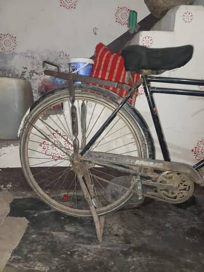 baba cycle full size