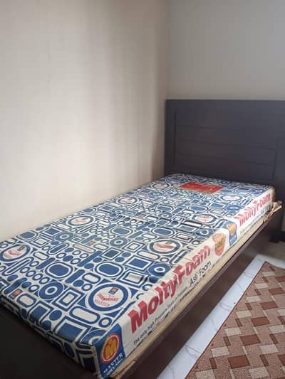 Single Bed for Sale – Excellent Condition – Like New