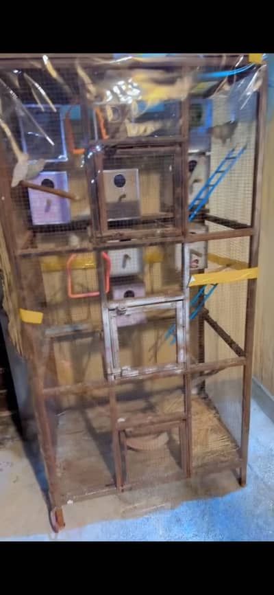 Birds cages