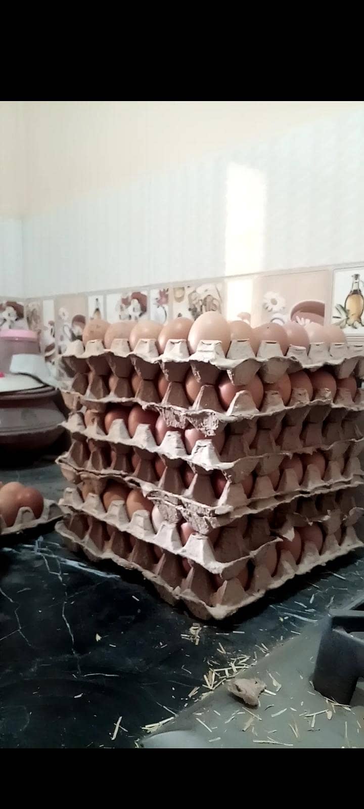 eggs machine 2