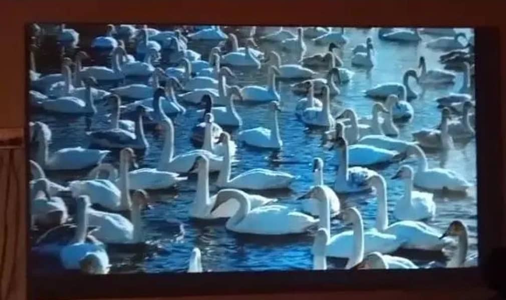 Led Android Multimedia Projector 3