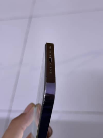 iPhone 14 Pro Max pta approved