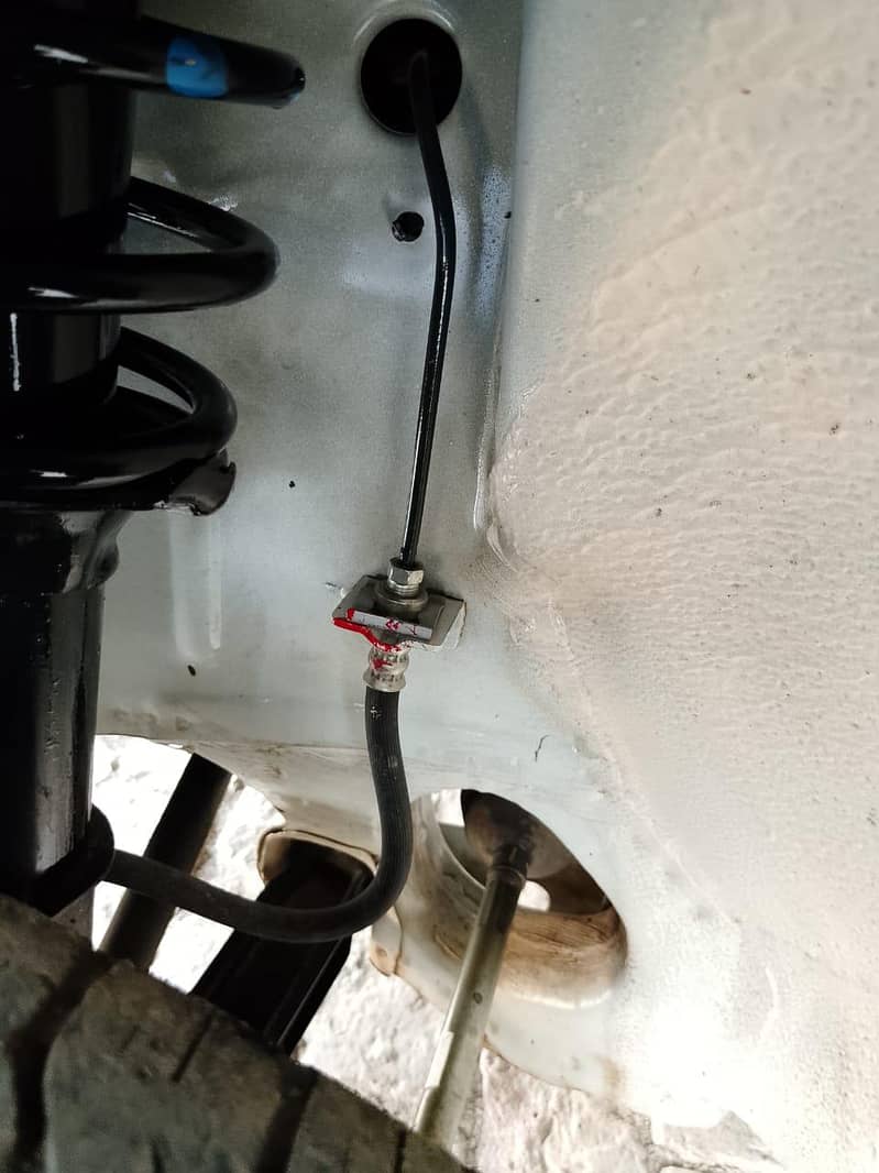 بک فیل ا اوریجنل بائیو میٹک موقع پر 11