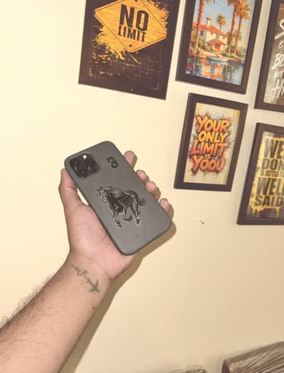 13 pro max non pta jv