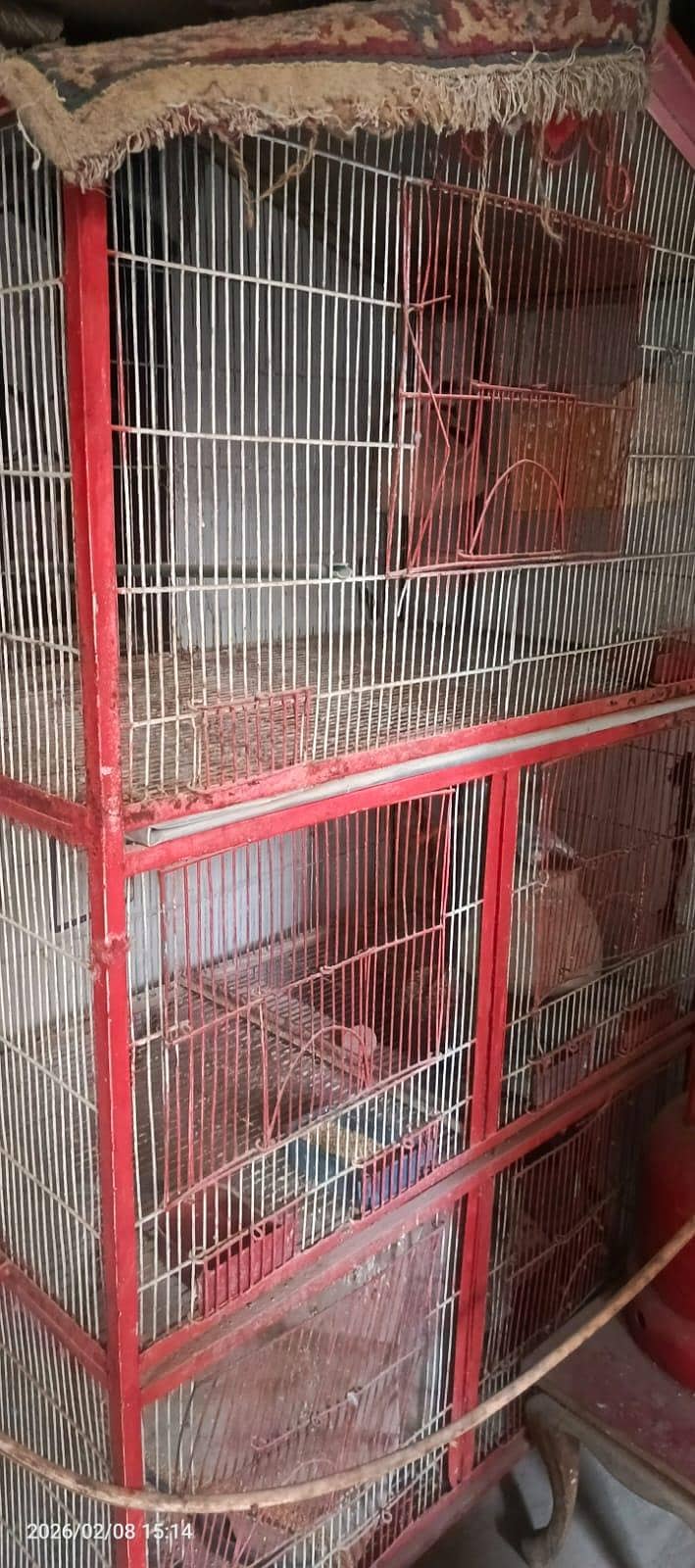 bird cage 0