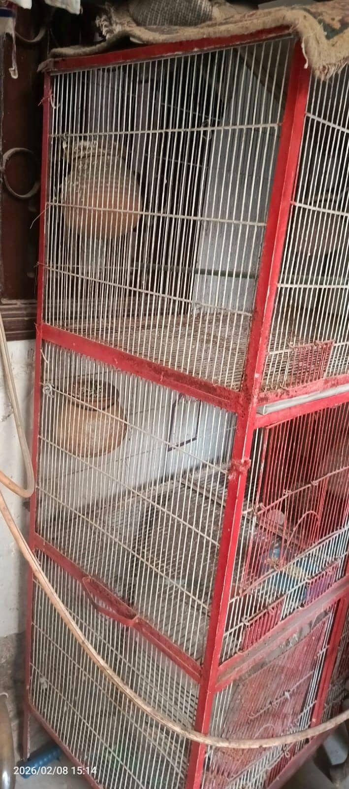bird cage 2