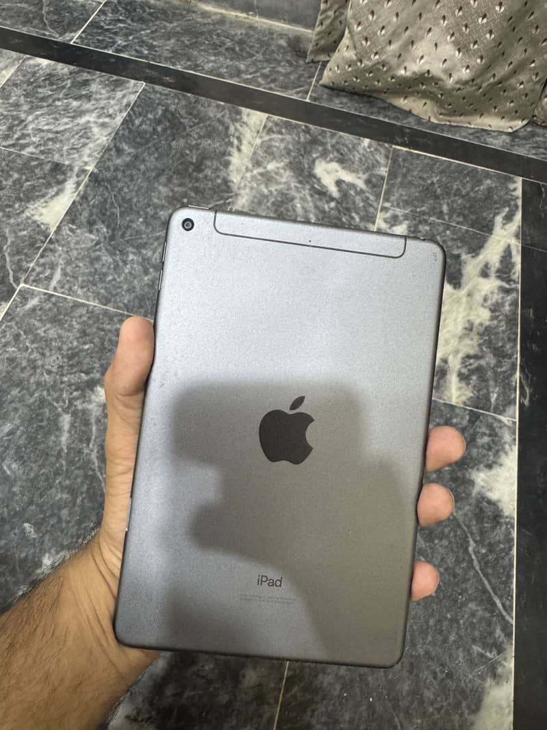 Ipad mini 5 0