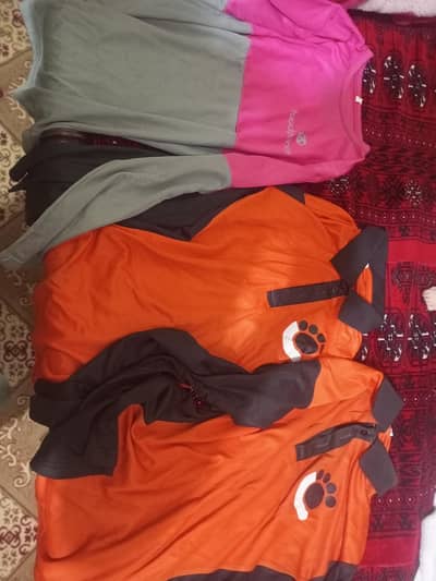 cheetay and foodpanda shirts