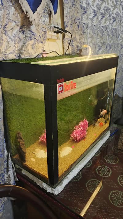 Aquarium & Fishes(4).