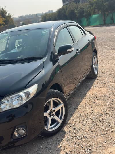 Gli 2012 model blcak antique beauty