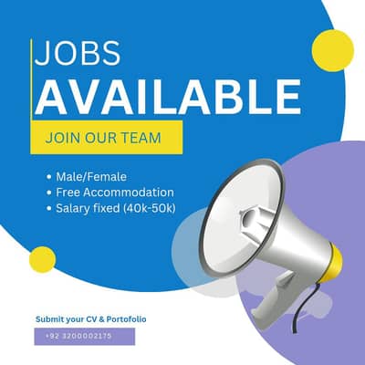 IT Professionals Wanted!  Join Our Team at Z H IT SOLUTION