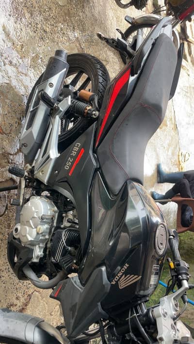 Derbi black color