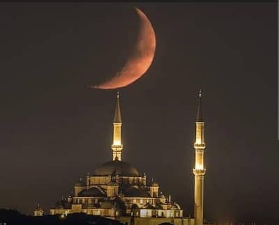 Real online Earning platform