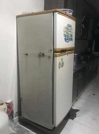 Waves fridge