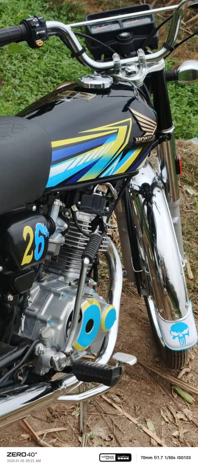 2026 model full genuine Tanky Tapy