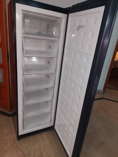 PEL Vertical freezer
