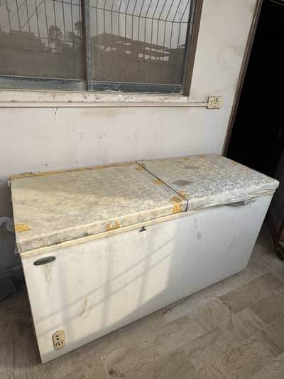 Waves Freezer double door full size