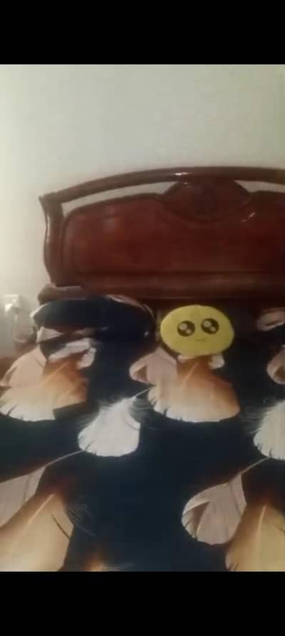 bed   two sides with metres & dressing