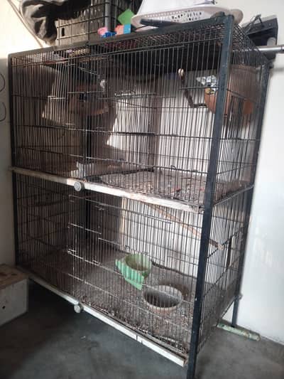 angl cage good condition