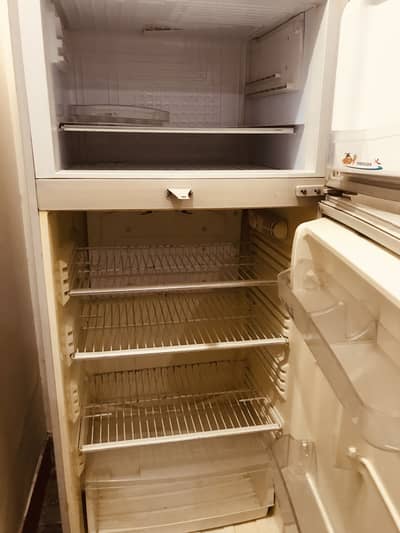 Big size fridge in perfect condition