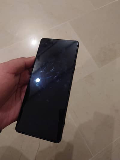 Sony Xperia 1 III 12/256