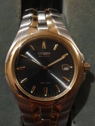 Citizen Eco-Drive Paradigm Men's Two-Tone Watch (Model: BM0194-53L)