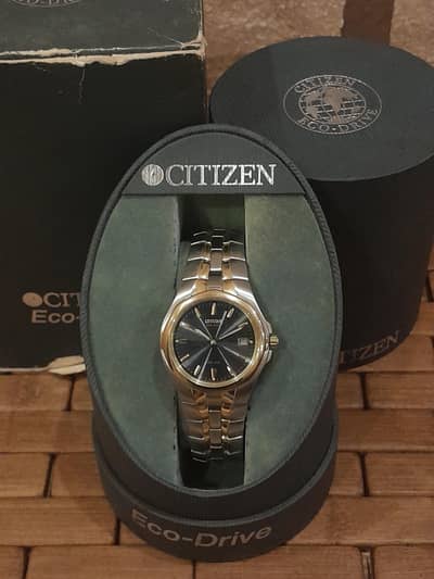 Citizen Eco-Drive Paradigm Men's Two-Tone Watch (Model: E111-K15699)