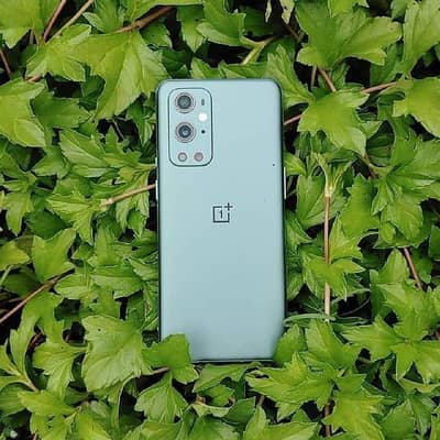 5G 12+256GB 10/10waterpack best camera battery performance+dual spiker