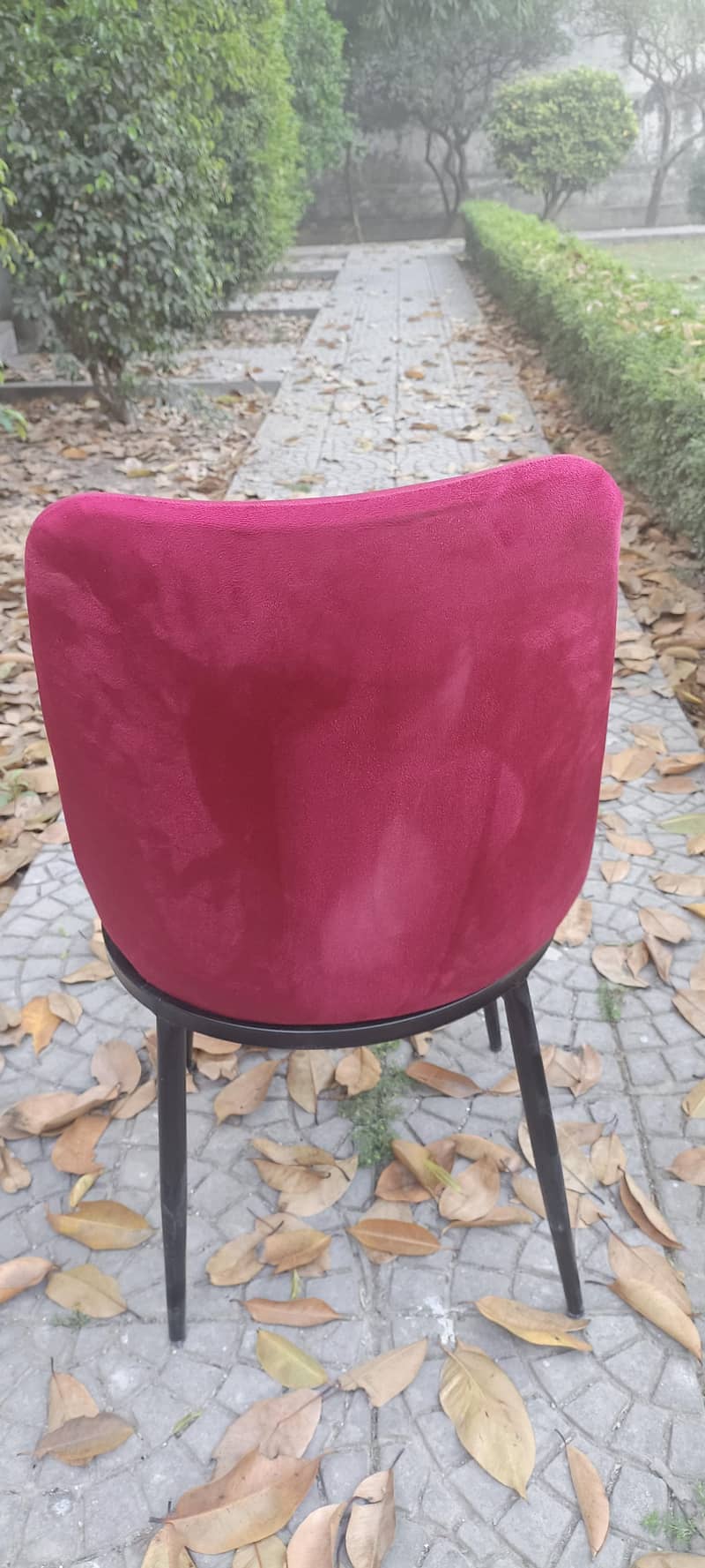 Chairs 1