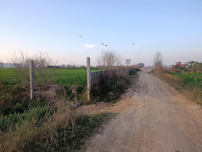 155مرلہ کارنرپلاٹ براۓ فرحت-کرتاپورروڈسیالکوٹ 10