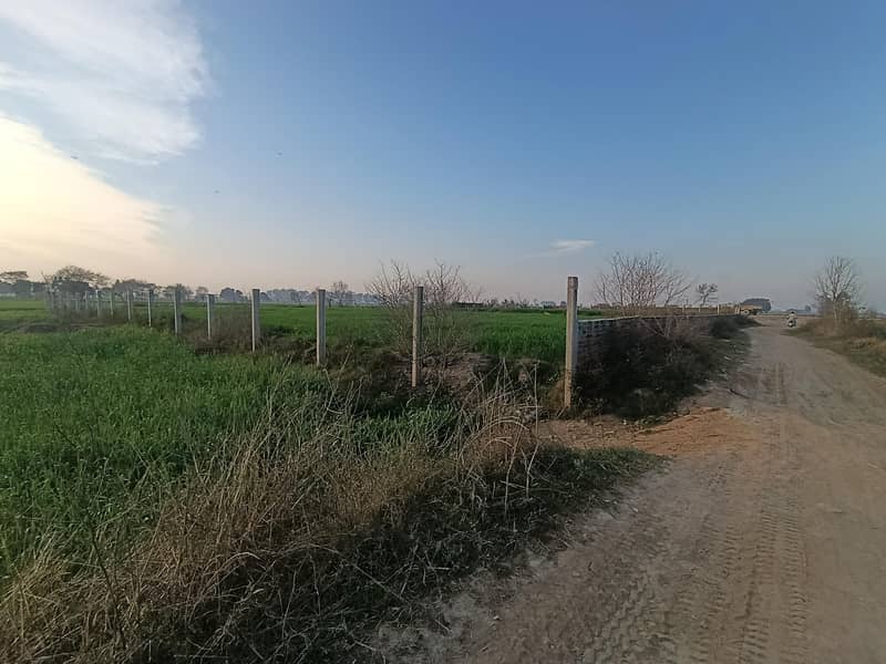 155مرلہ کارنرپلاٹ براۓ فرحت-کرتاپورروڈسیالکوٹ 11