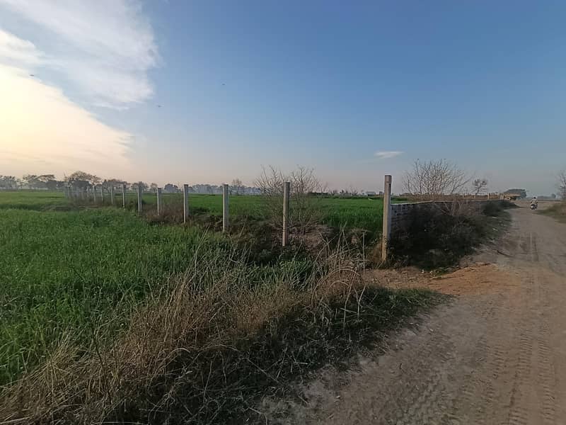 155مرلہ کارنرپلاٹ براۓ فرحت-کرتاپورروڈسیالکوٹ 14