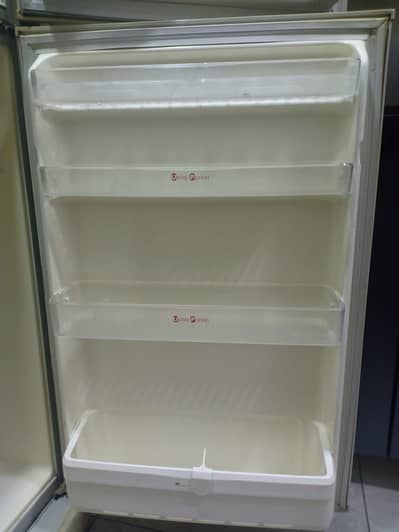 Frost-Free Gaba National Refrigerator GNR-12 – Gray