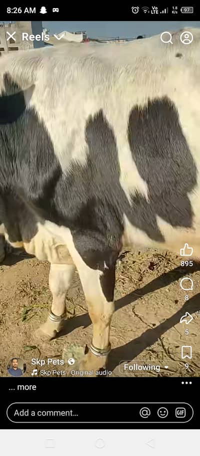 Pur khals dod 100parsecnt khalas