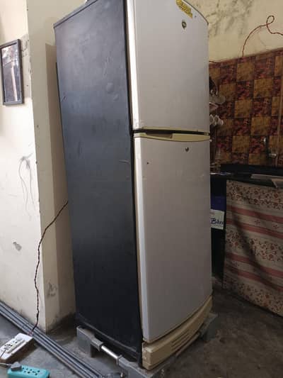 Haier fridge